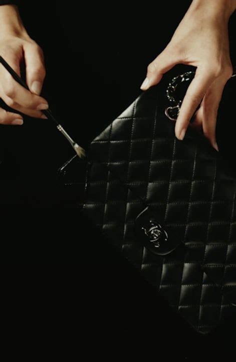 chanel and moi login